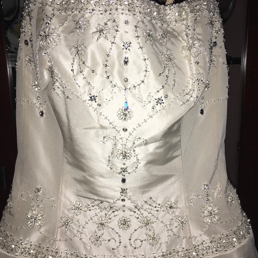 Moonlight Bridal Wedding Gown